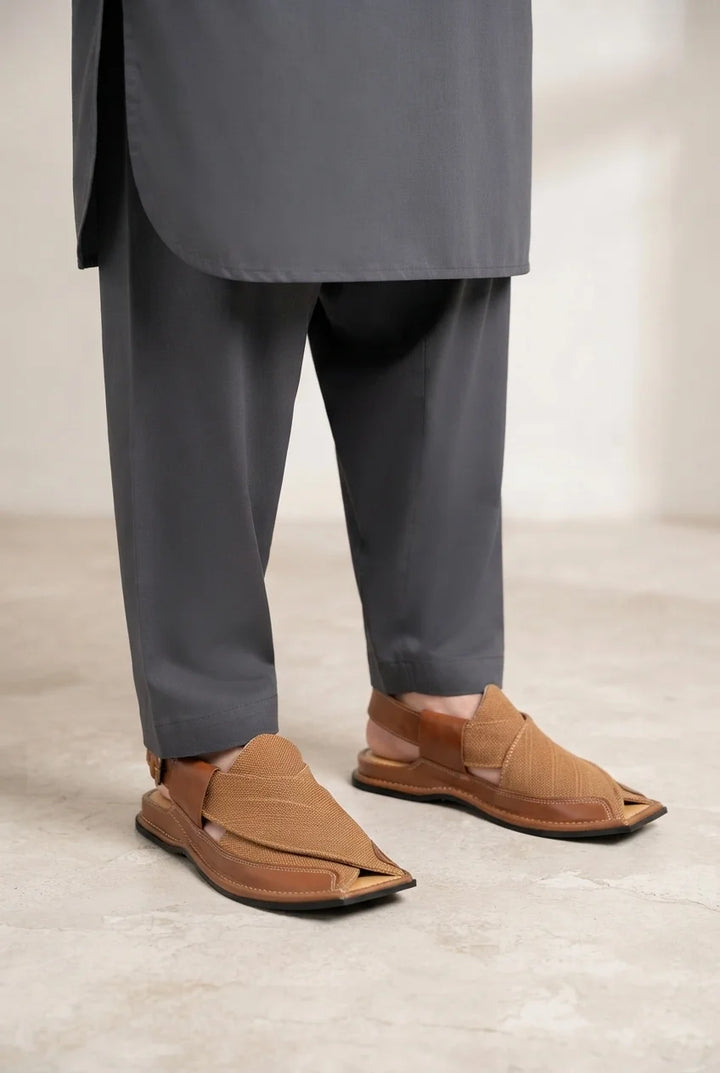 Light Brown Smart Zalmi Urban Casual Leather Shoes
